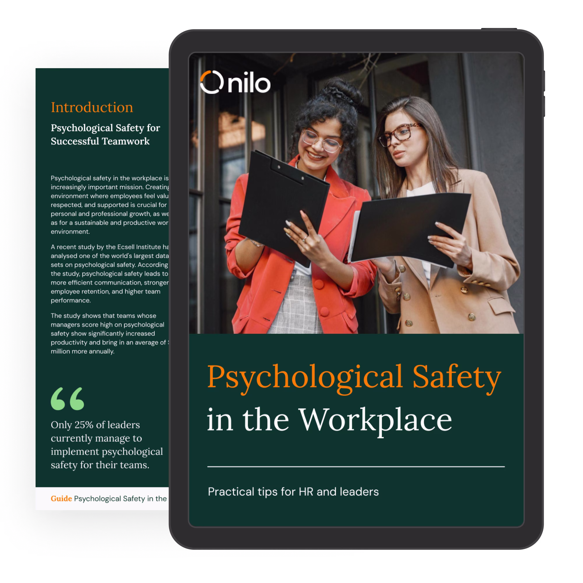 psychological safety in the workplace_nilo